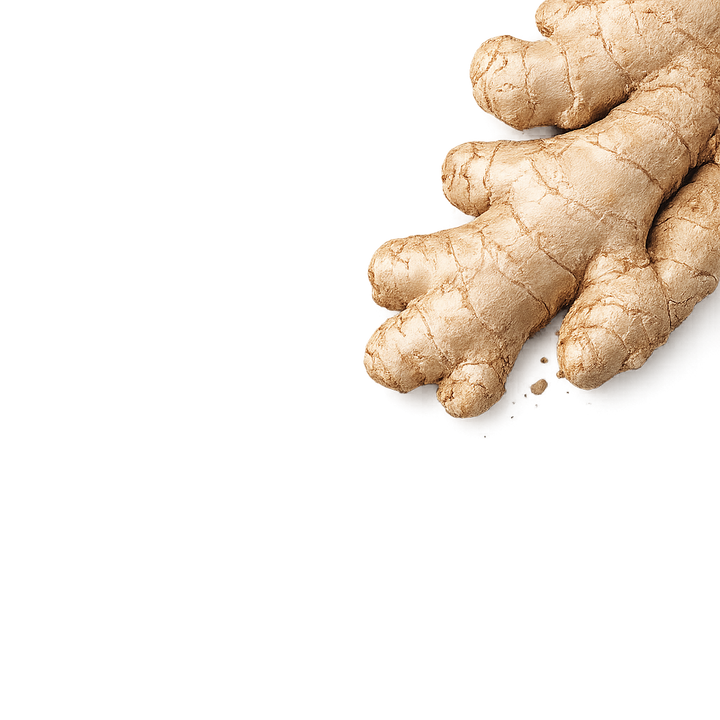 Ginger Root