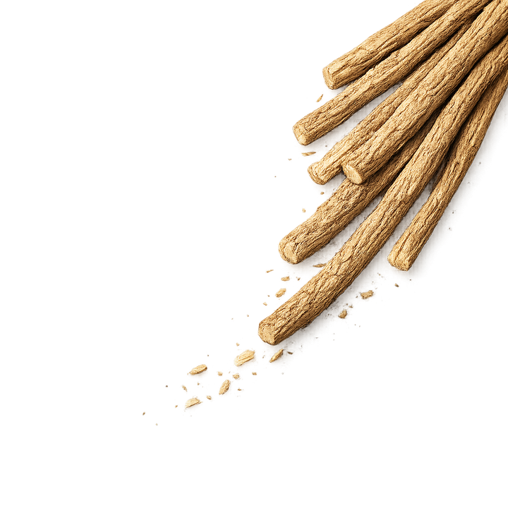 Licorice Root