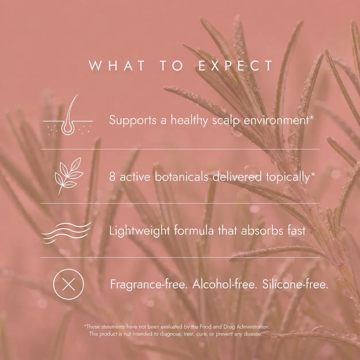 Bloomli Scalp & Hair Serum Bloomli
