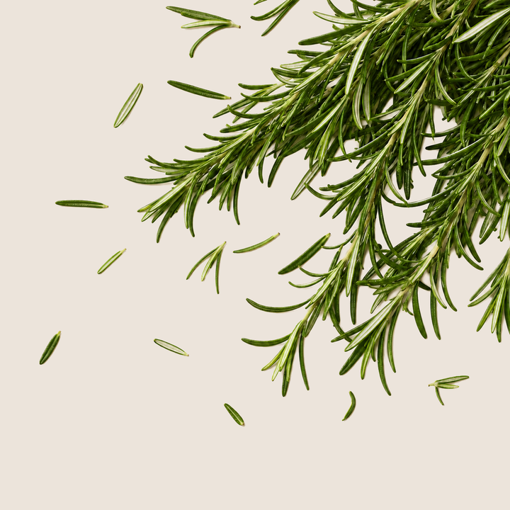Rosemary