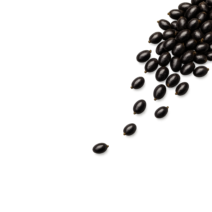 Saw Palmetto