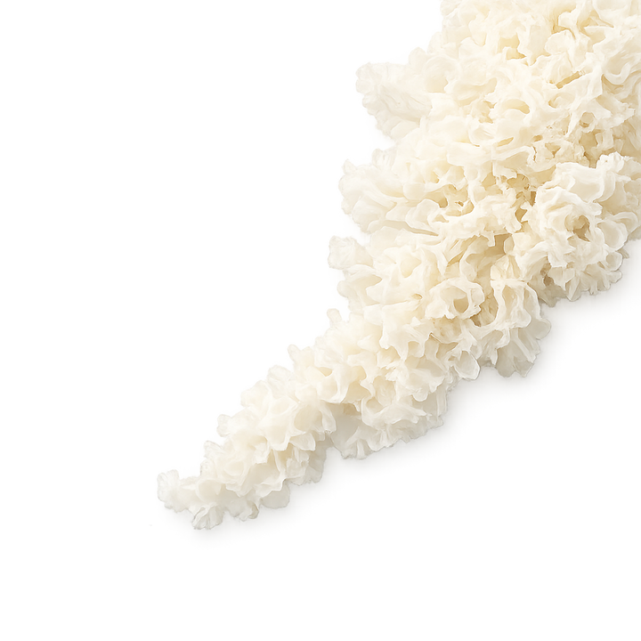 Tremella Mushroom
